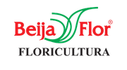 logo beija flor