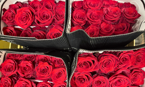 flores de corte